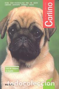 Libri: CARLINO - RICE, DAN.