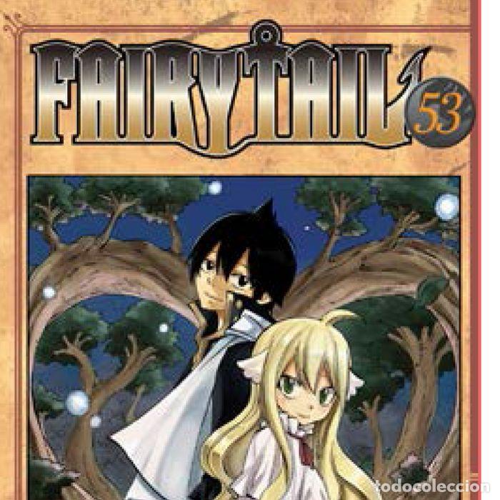 books: FAIRY TAIL 53 - MASHIMA, HIRO