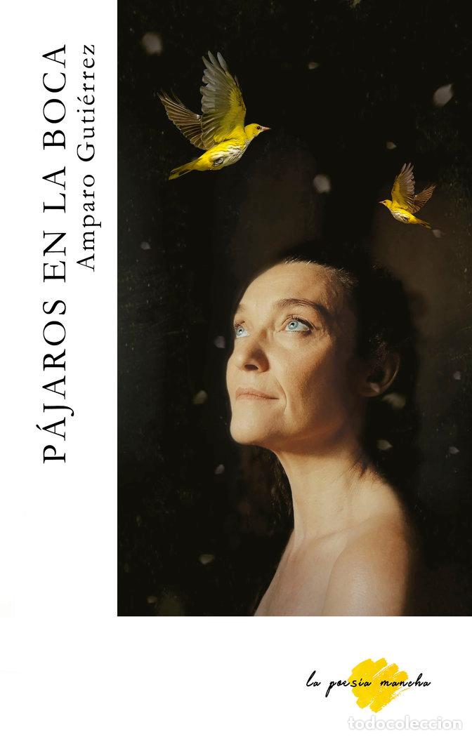 Libros: PAJAROS EN LA CABEZA - GUTIERREZ, AMPARO
