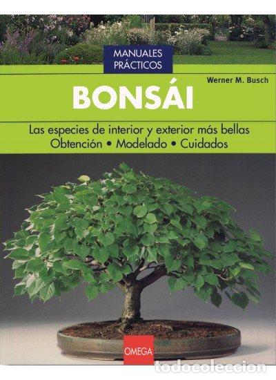 Libros: BONSAI - BUSCH, WERNER