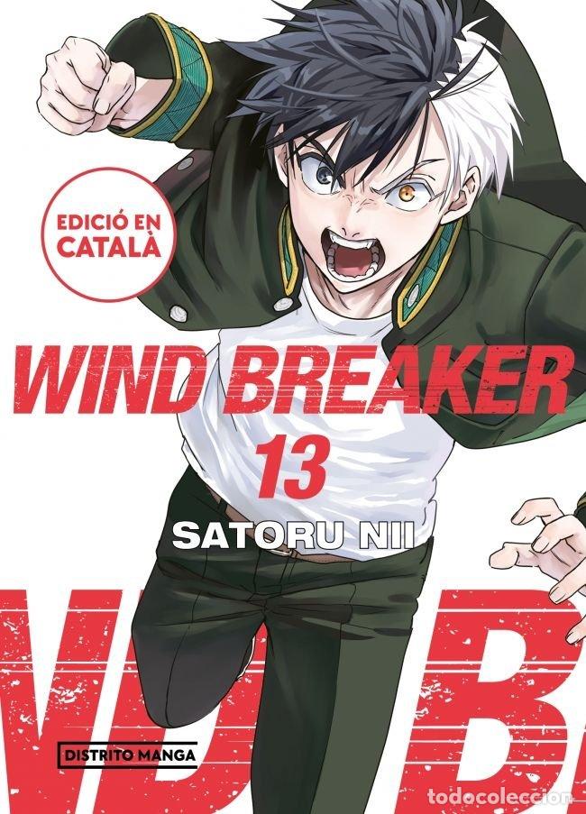 Libri: WIND BREAKER 13 - SATORU NII