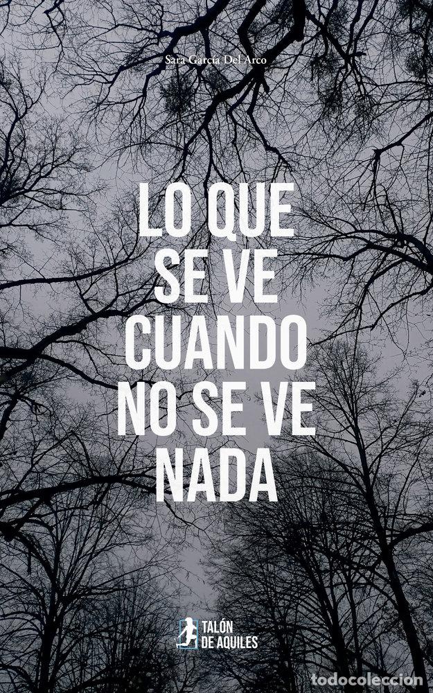 books: LO QUE SE VE CUANDO NO SE VE NADA - GARCIA DEL ARCO, SARA