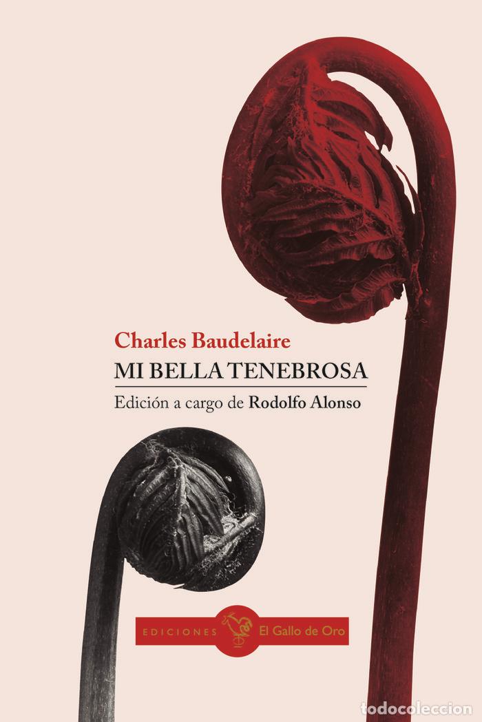 Libri: MI BELLA TENEBROSA - ALONSO, RODOLFO