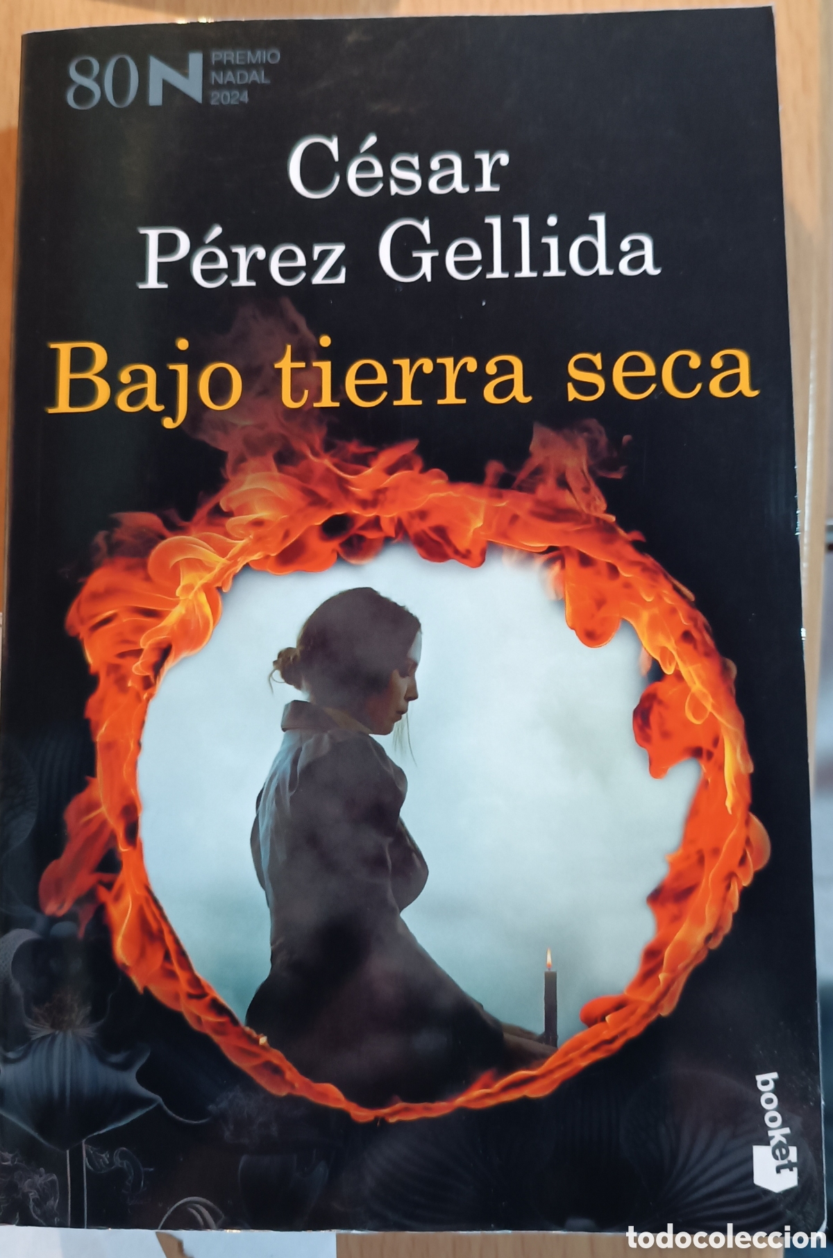 Libros: Bajo tierra seca libro
