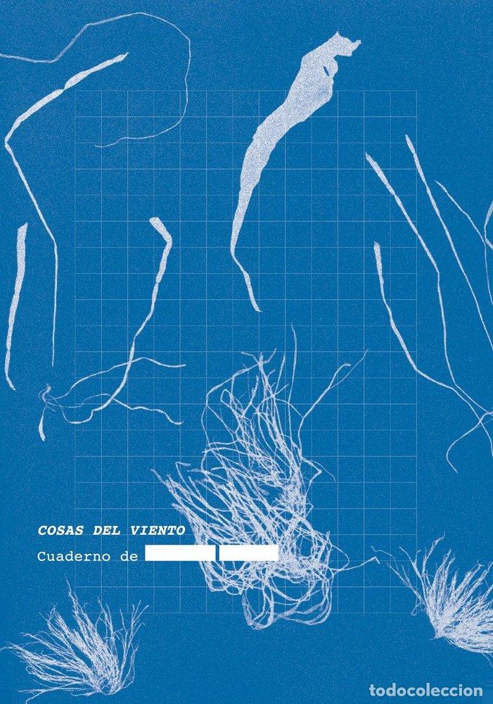 Libros: COSAS DEL VIENTO - ANONIMO
