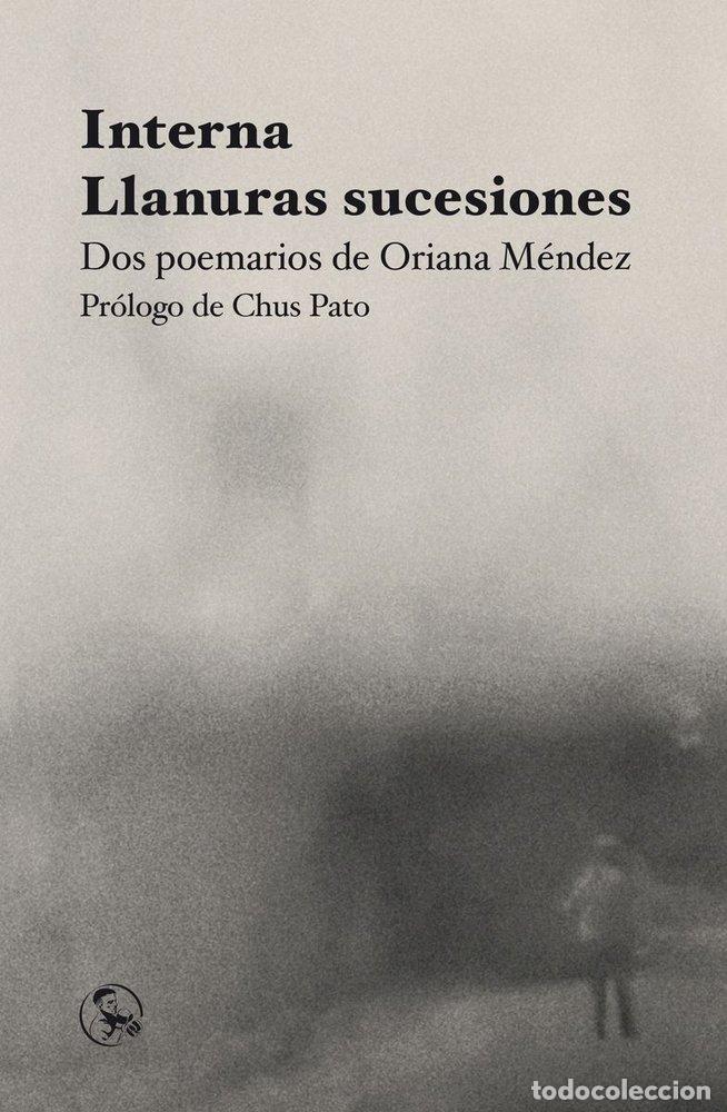 Libros: INTERNA LLANURAS SUCESIONES - MENDEZ, ORIANA
