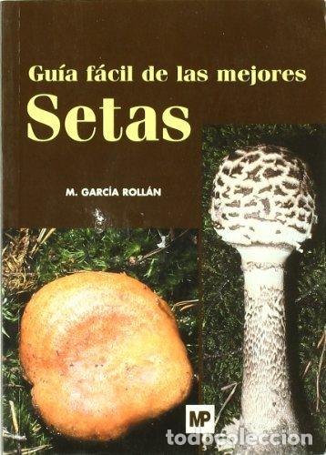 Libros: GUIA FACIL MEJORES SETAS - GARCIA ROLLAN