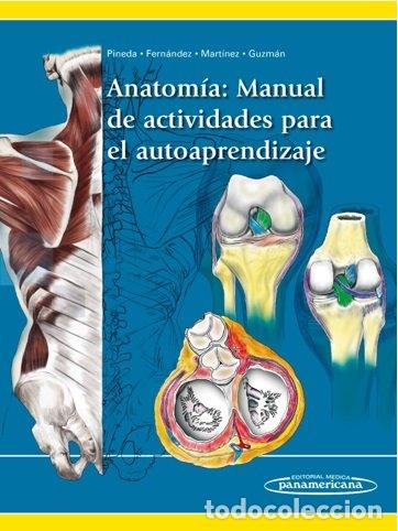 Libros: ANATOMIA MANUAL DE ACTIVIDADES PARA EL AUTOAPRENDIZAJE - PINEDA