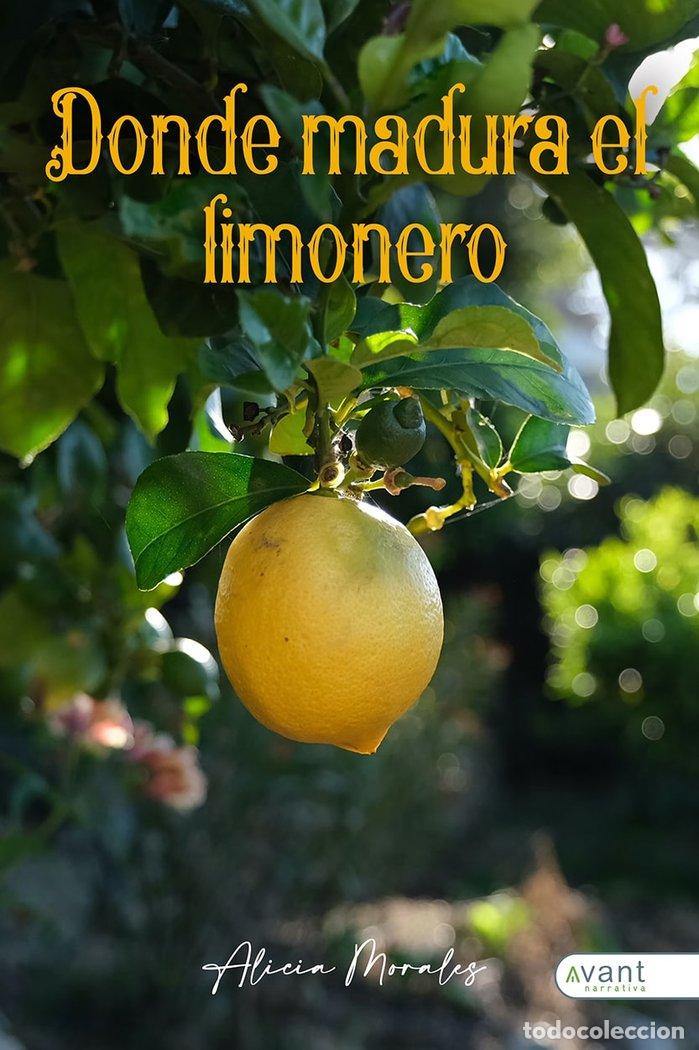 Libri: DONDE MADURA EL LIMONERO - MORALES, ALICIA