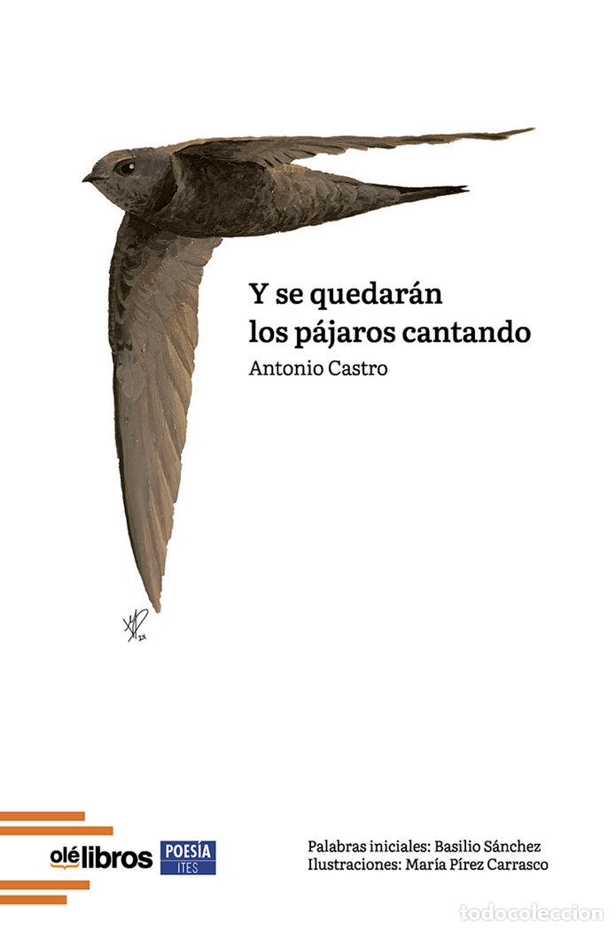 Livros: Y SE QUEDARAN LOS PAJAROS CANTANDO - CASTRO SANCHEZ, ANTONIO