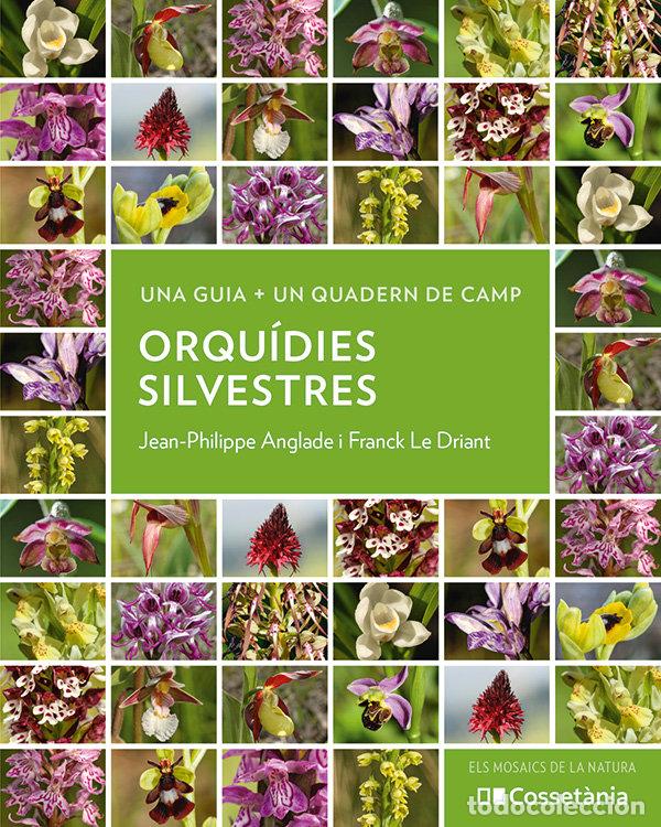 books: ORQUIDIES SILVESTRES - JEAN-PHILIPPE ANGLAD