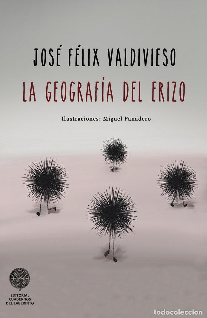 Libros: GEOGRAFIA DEL ERIZO,LA - VALDIVIESO, JOSE FELIX