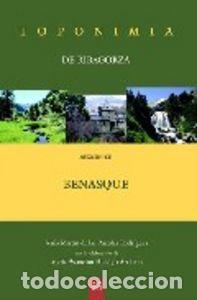 Libros: TOPONIMIA DE RIBAGORZA. MUNICIPIO DE BENASQUE - MARTIN DE LAS PUEBLAS RODRIGUEZ, JESUS