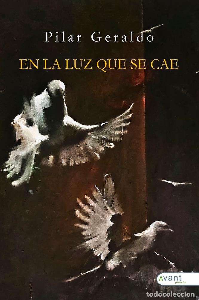 Livres: EN LA LUZ QUE SE CAE - GERALDO DENIA, PILAR
