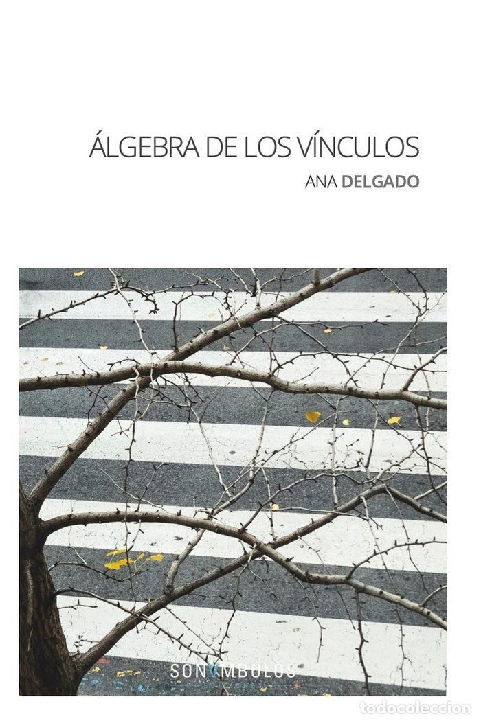 Libri: ALGEBRA DE LOS VINCULOS - DELGADO, ANA