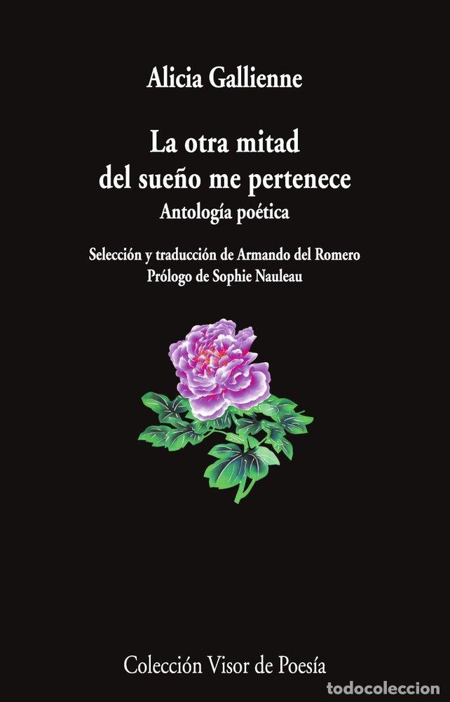 books: LA OTRA MITAD DEL SUE&Ntilde;O ME PERTENECE - GALLIENE, ALICIA