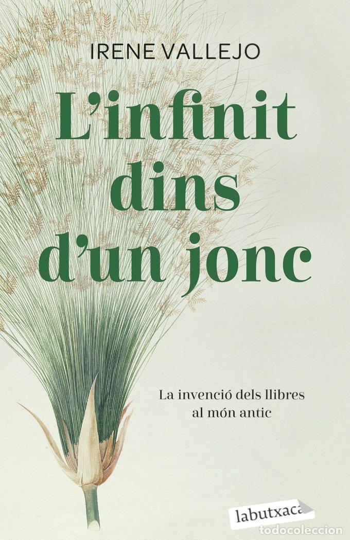 books: LINFINIT DINS DUN JONC - VALLEJO, IRENE