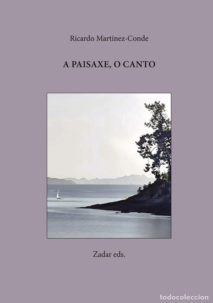 Libri: A PAISAXE, O CANTO - MARTINEZ-CONDE, RICARDO