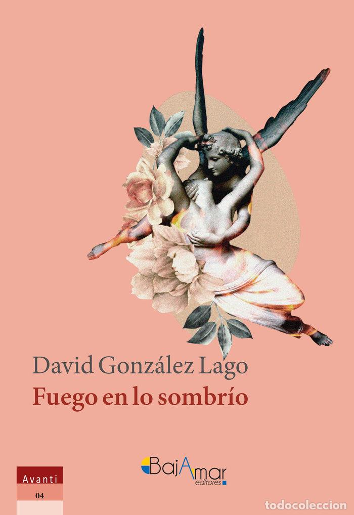 books: FUEGO EN LO SOMBRIO - GONZALEZ LAGO, DAVID