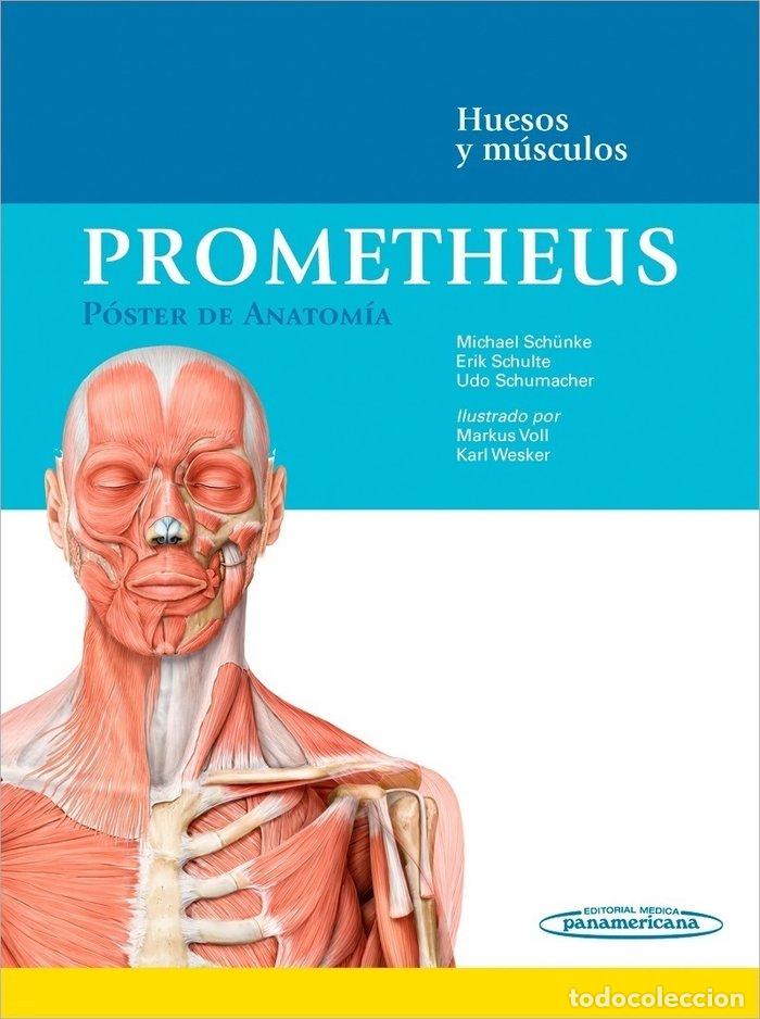Livres: PROMETHEUS POSTER DE ANATOMIA - SCH&Uuml;NKE MICHAEL