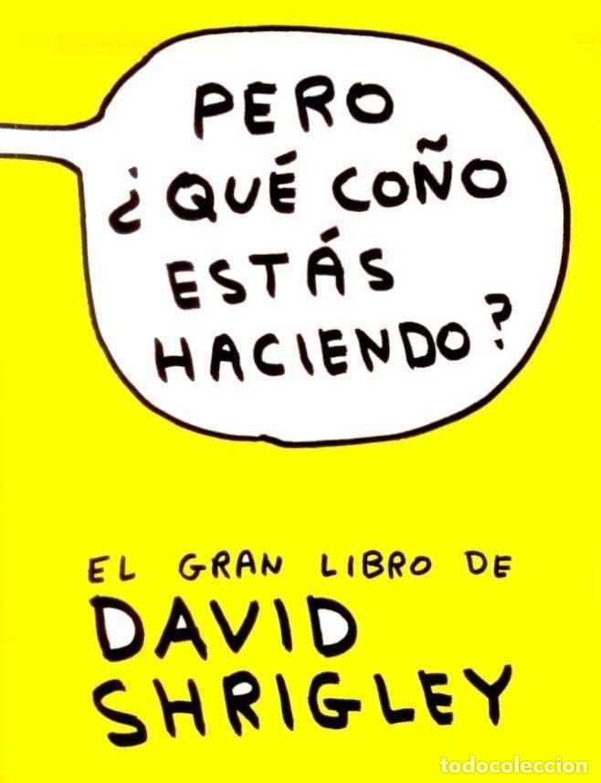Libros: PERO QUE CO&Ntilde;O ESTAS HACIENDO - SHRIGLEY, DAVID