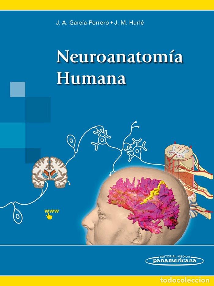 Livros: NEUROANATOMIA HUMANA+VERSION DIGITAL - GARCIA-PORRERO PEREZ, JUAN ANTONIO