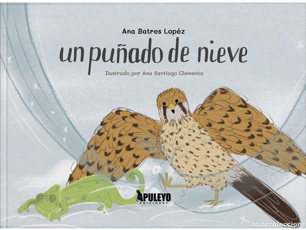 Libros: UN PU&Ntilde;ADO DE NIEVE - BATRES LOPEZ, ANA