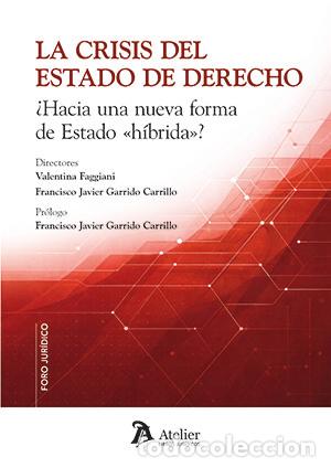 B&uuml;cher: LA CRISIS DEL ESTADO DE DERECHO HACIA UNA NUEVA FORMA DE ES - VALENTINA FAGGIANI