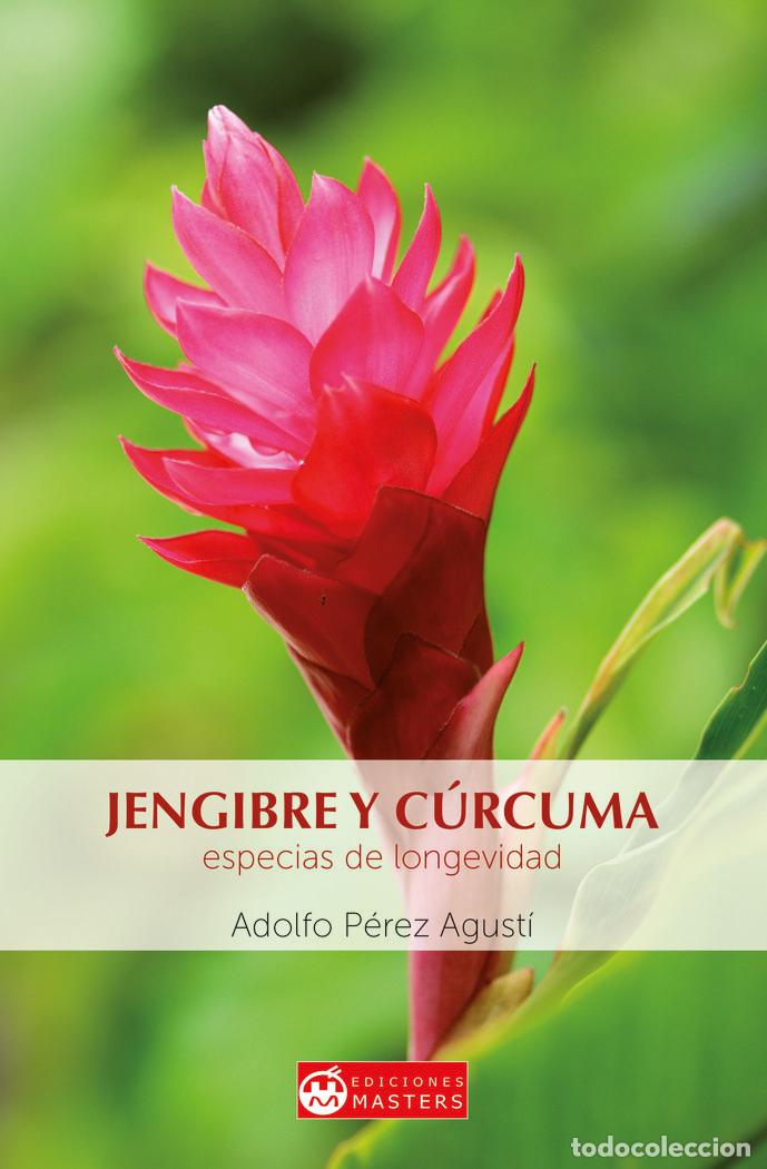Libros: JENGIBRE Y CURCUMA - PEREZ AGUSTI, ADOLFO