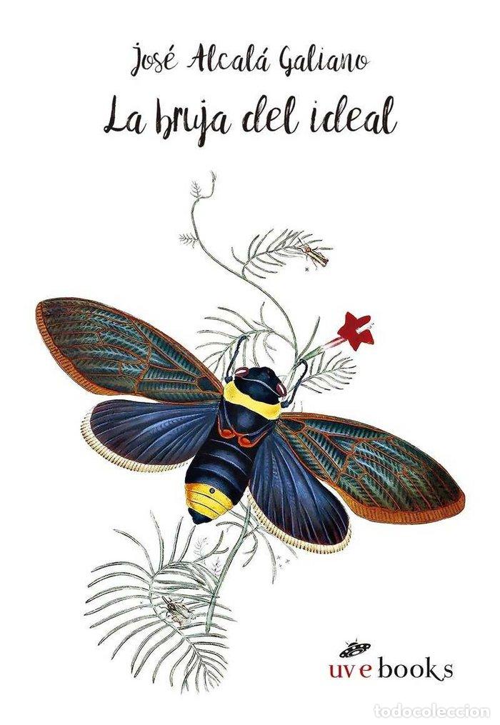 Livres: BRUJA DEL IDEAL,LA - ALCALA GALIANO, JOSE