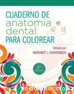 Libri: CUADERNO DE ANATOMIA DENTAL PARA COLOREAR 3&ordf; ED - FEHRENBACH