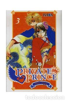 books: PRIVATE PRINCE 3 - MAKI ENJOUJI