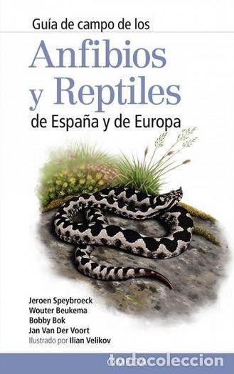 Libros: GUIA CAMPO DE LOS ANFIBIOS Y REPTILES DE ESPA&Ntilde;A Y DE EUROP - SPEYBROECK, JEROEN
