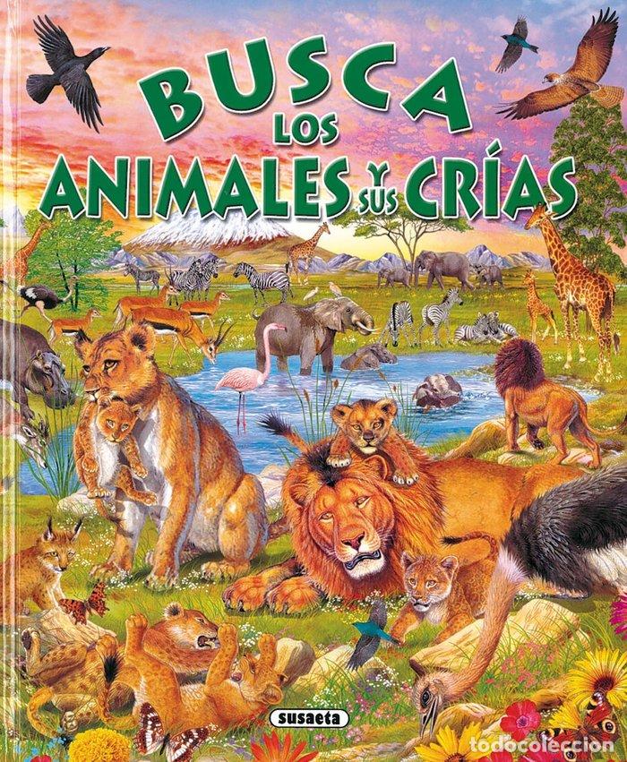 Livres: BUSCA LOS ANIMALES Y SUS CRIAS - AA.VV