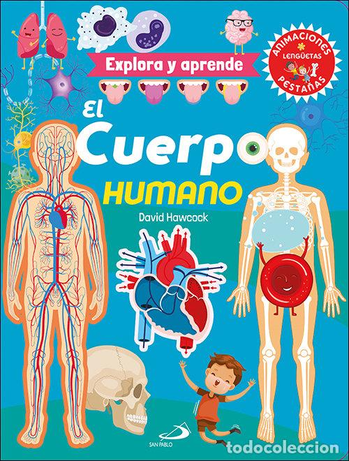 Libri: EL CUERPO HUMANO - HAWCOCK, DAVID