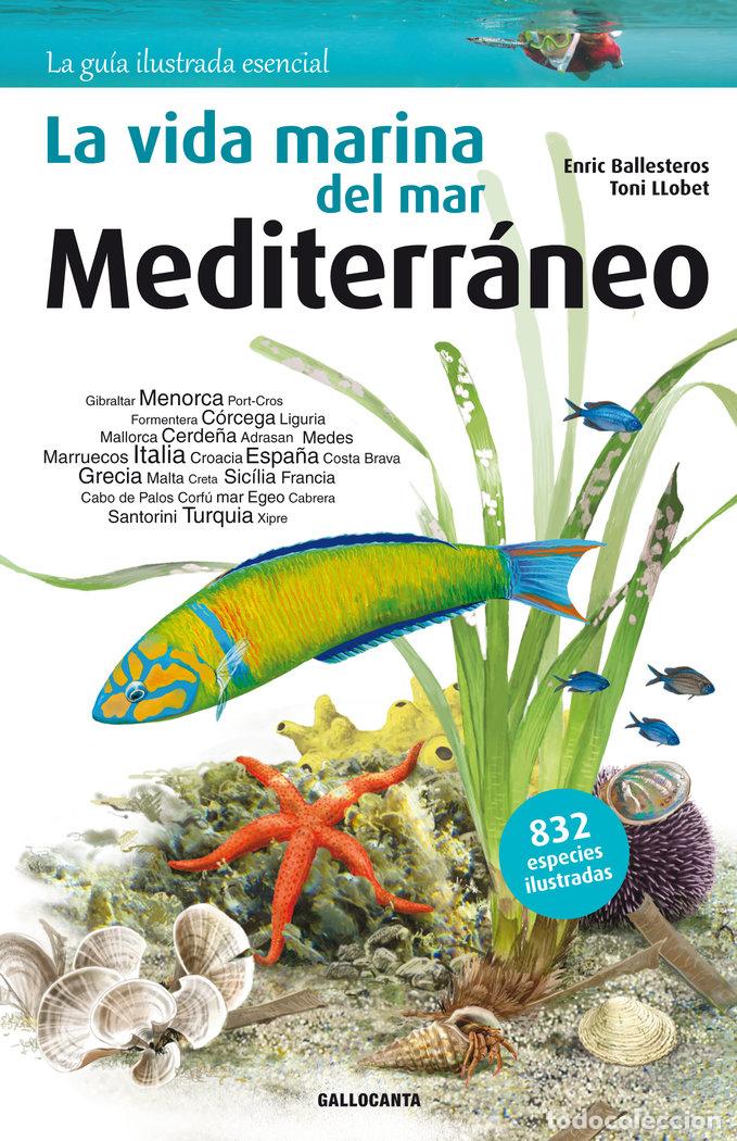 Libros: VIDA MARINA DEL MAR MEDITERRANEO,LA - BALLESTEROS SAGARRA, ENRIC