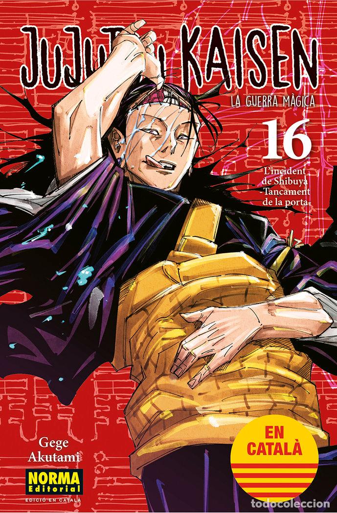 Livres: JUJUTSU KAISEN 16 - AKUTAMI, GEGE