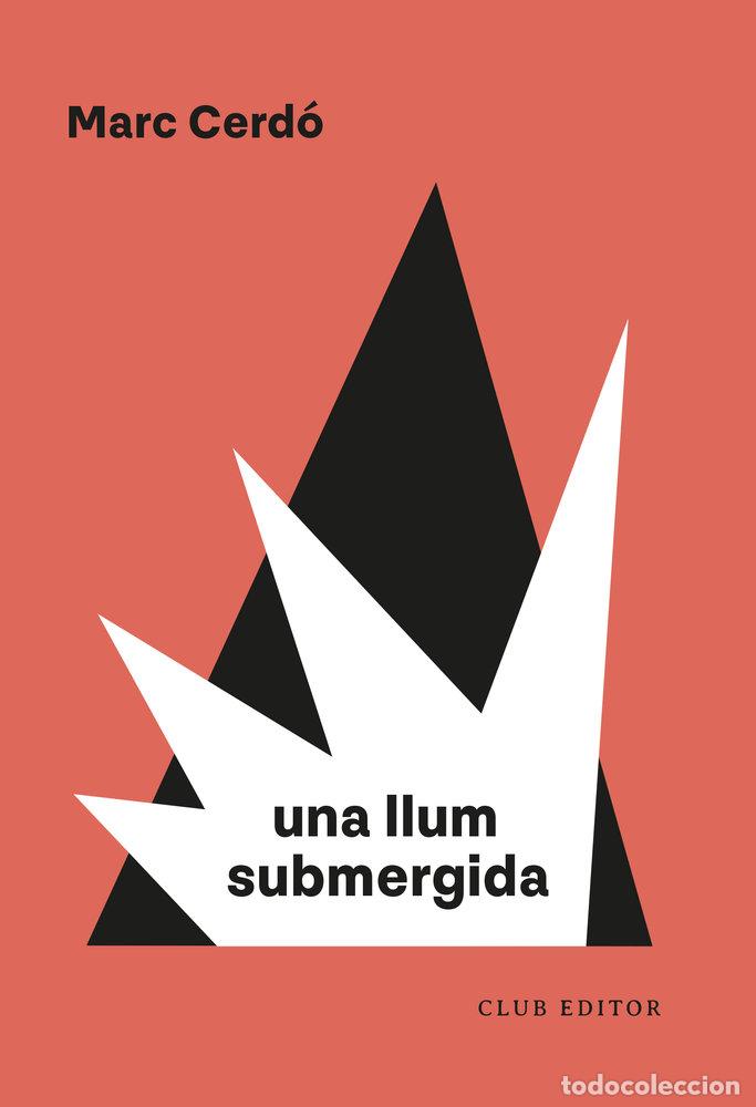 Livres: UNA LLUM SUBMERGIDA - CERDO, MARC