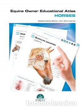 Libros: EQUINE OWNER EDUCATIONAL ATLAS. HORSES - BARBA RECREO, MARTA