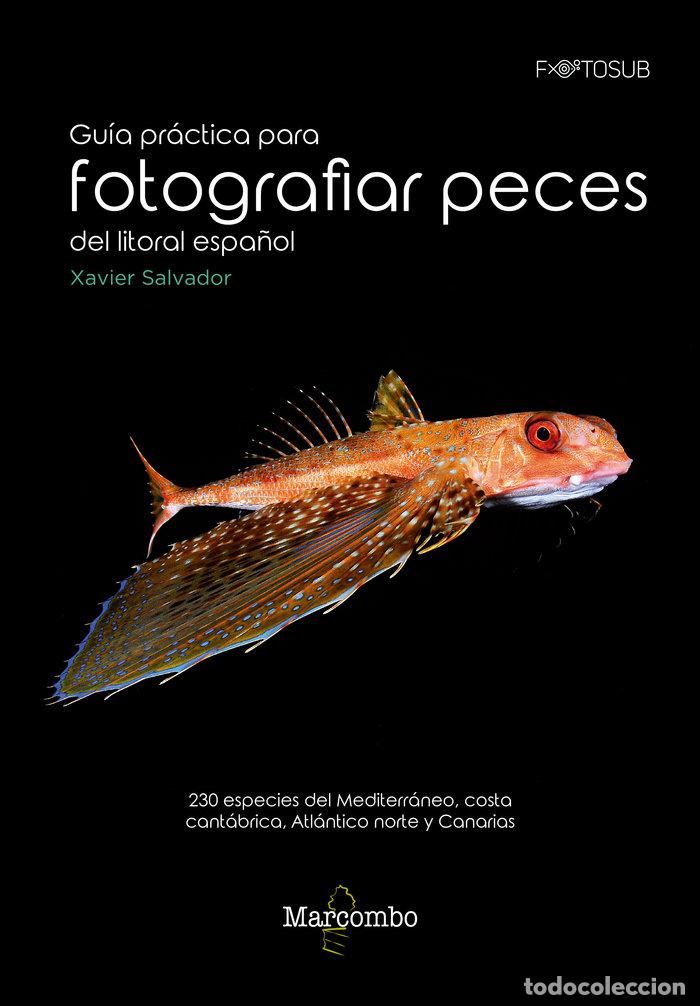 B&uuml;cher: GUIA PRACTICA PARA FOTOGRAFIAS PECES DEL LITORAL ESPA&Ntilde;OL - XAVIER SALVADOR