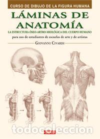 Livres: LAMINAS DE ANATOMIA - CIVARDI, GIOVANNI