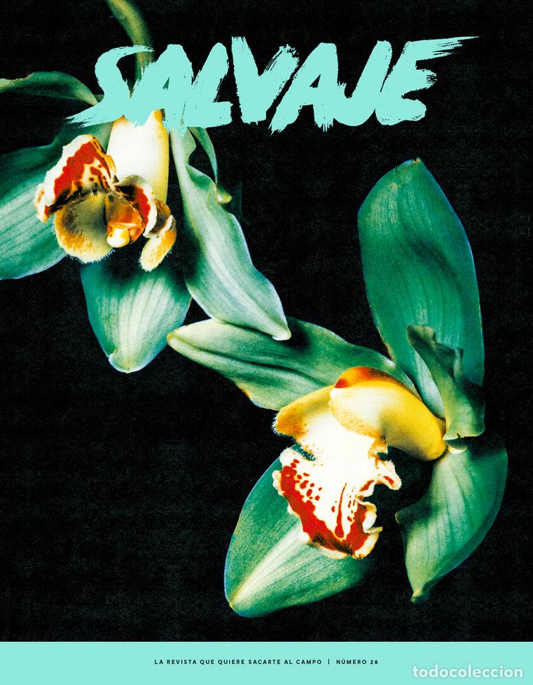 books: REVISTA SALVAJE 28 - AA.VV