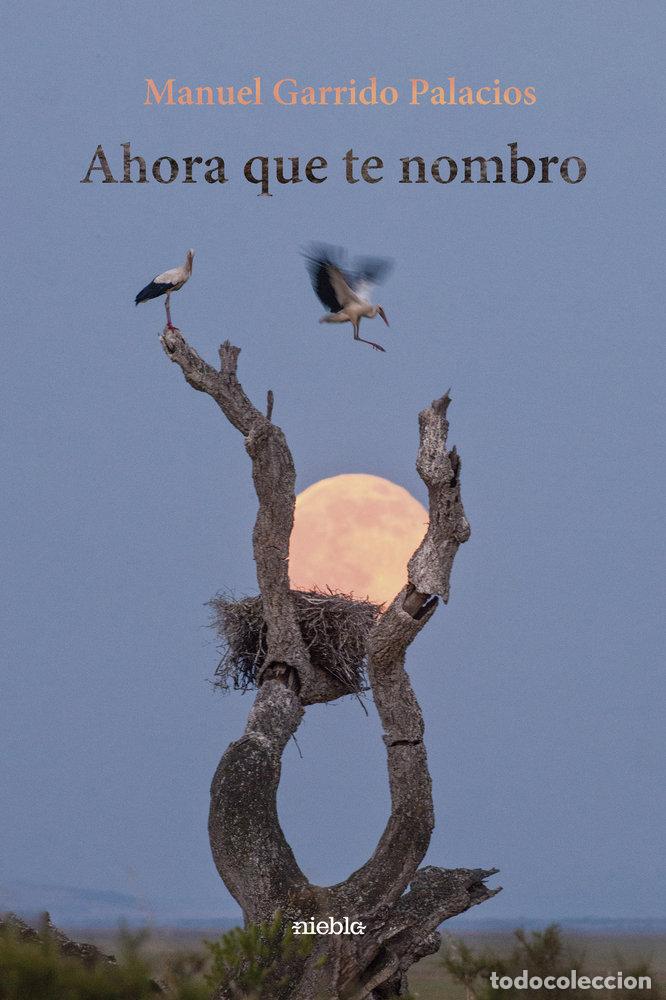 B&uuml;cher: AHORA QUE TE NOMBRO - GARRIDO PALACIOS, MANUEL