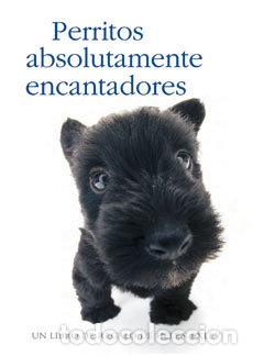 Libros: PERRITOS ABSOLUTAMENTE ENCANTADORES - EXLEY, HELEN