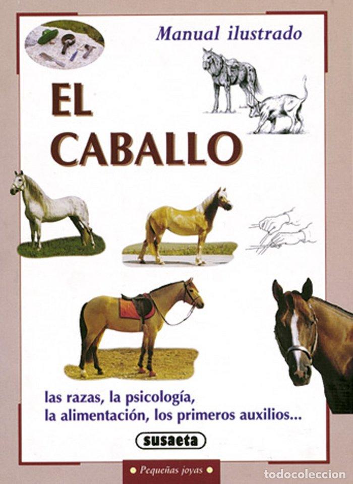 books: CABALLO,EL - AA.VV..