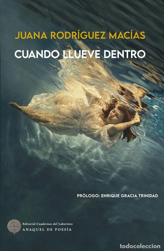 Libros: CUANDO LLUEVE DENTRO - RODRIGUEZ MACIAS, JUANA