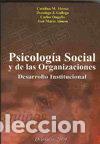Libros: PSICOLOGIA SOCIAL Y DE LAS ORGANIZACIONES: DESARROLLO INSTIT - ALONSO, C.M.