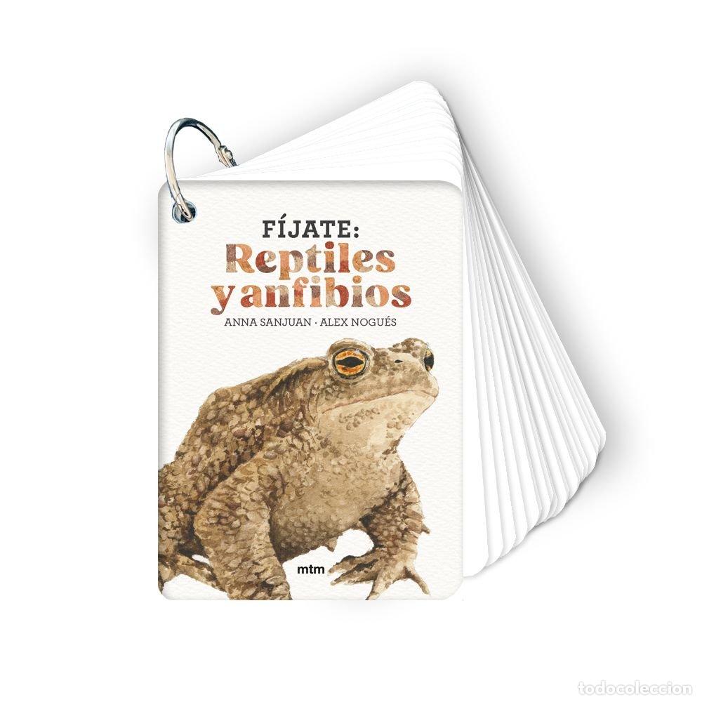 books: FIJATE REPTILES Y ANFIBIOS - SANJUAN LLORENS, ANNA