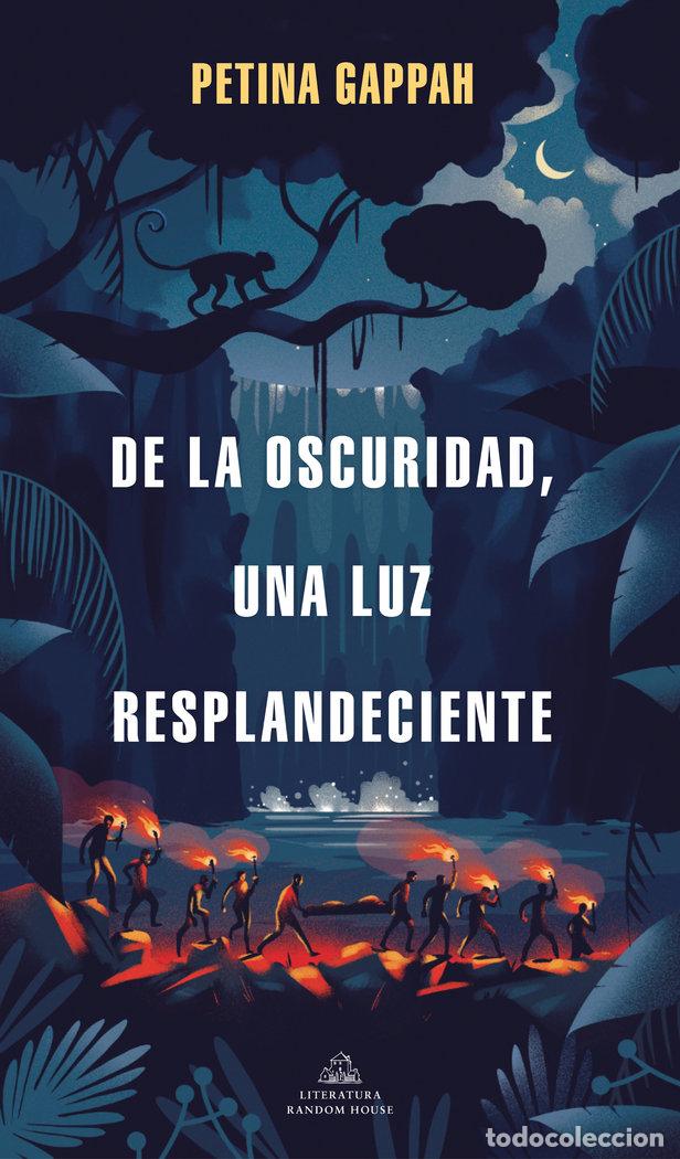 Livres: DE LA OSCURIDAD UNA LUZ RESPLANDECIENTE - GAPPAH, PETINA