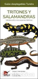 Libri: TRITONES Y SALAMANDRAS - AA.VV